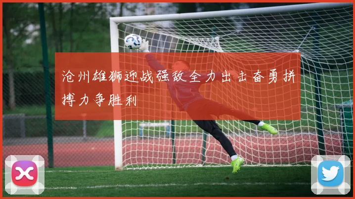 沧州雄狮迎战强敌全力出击奋勇拼搏力争胜利