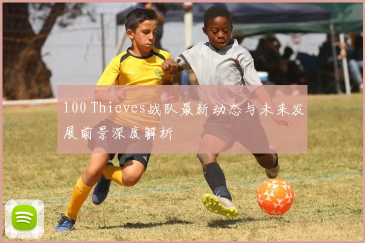 100 Thieves战队最新动态与未来发展前景深度解析