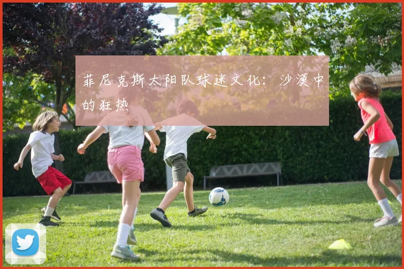 菲尼克斯太阳队球迷文化：沙漠中的狂热