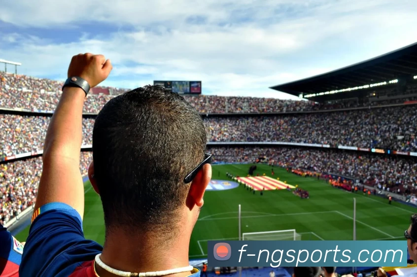 ng体育平台生态图